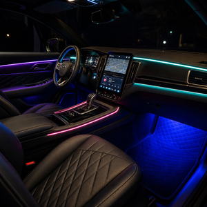 RAYSHIFT Advanced | Acrylic RGBIC Ambient Lighting Kit